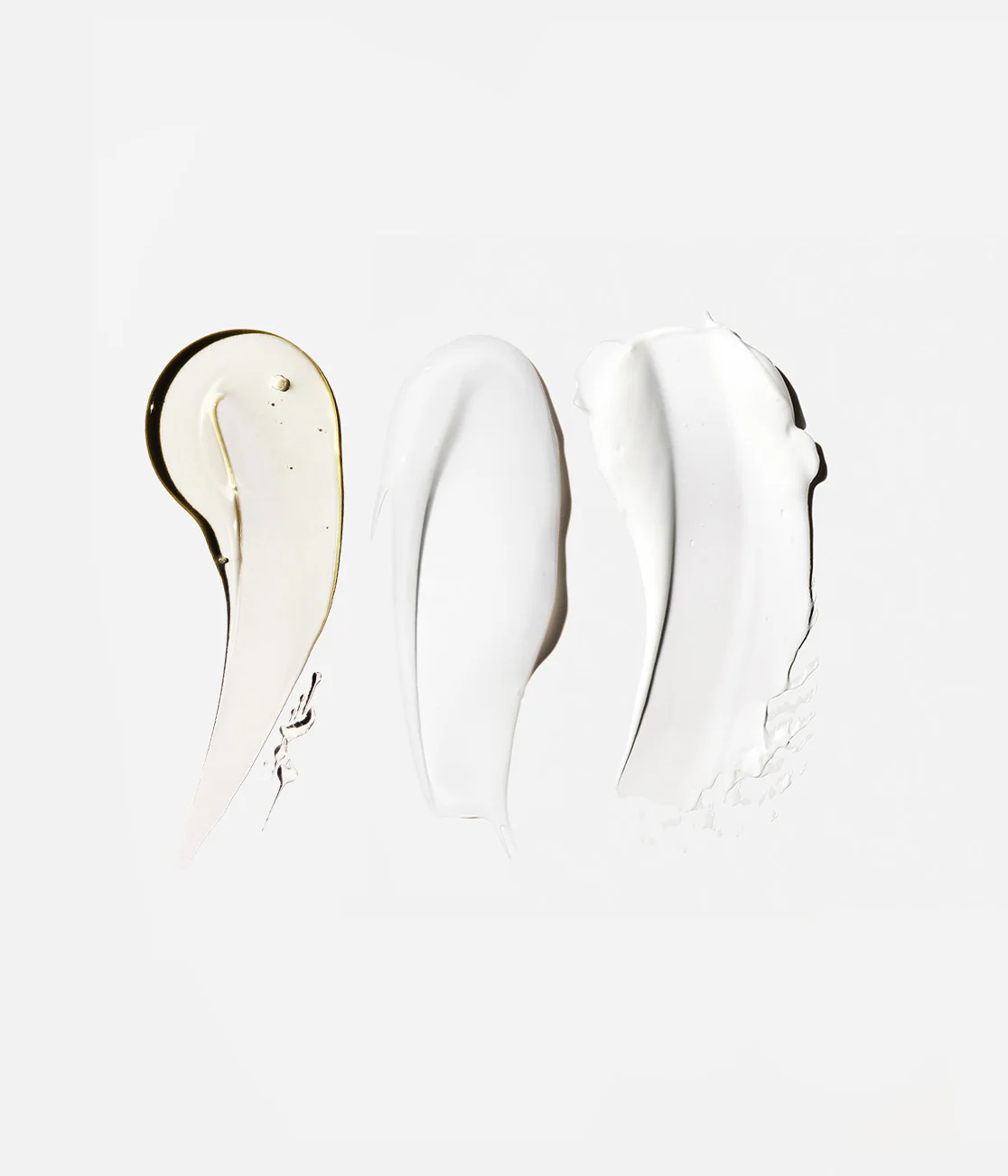 The Body Essentials - Image 3